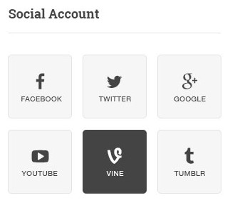 widget_social_accounts